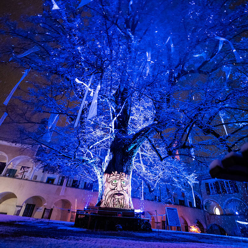 Lichtbaum in Millstatt strahlt in blau © Gert Perauer_MBN Tourismus