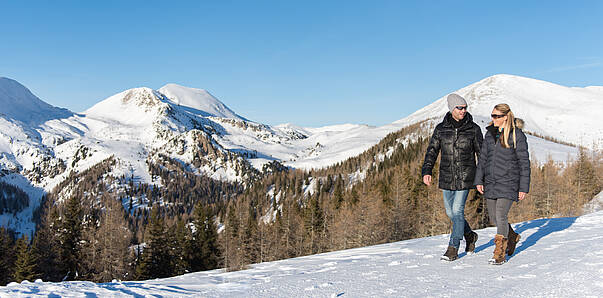 Glitzernde Winterlandschaft in Kärnten ©Franz Gerdl_MBN Tourissmus