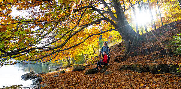 Goldener Herbst am Millstätter See © Gert Perauer_MBN Tourismus